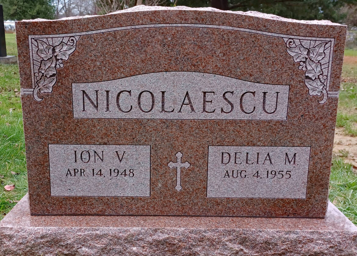 Nicolaescu-ID-scaled.jpg