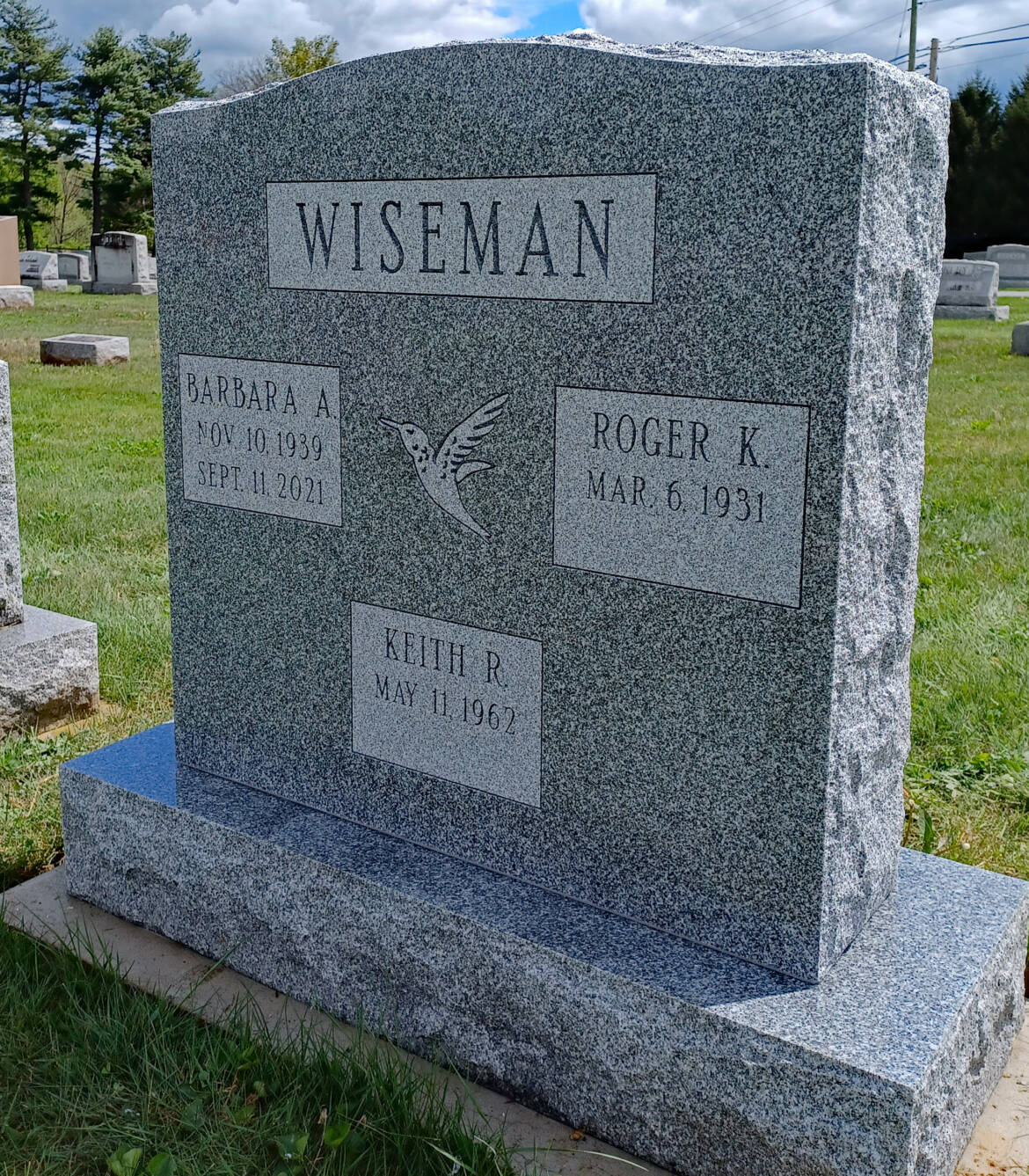 Wiseman-BR-1.jpg