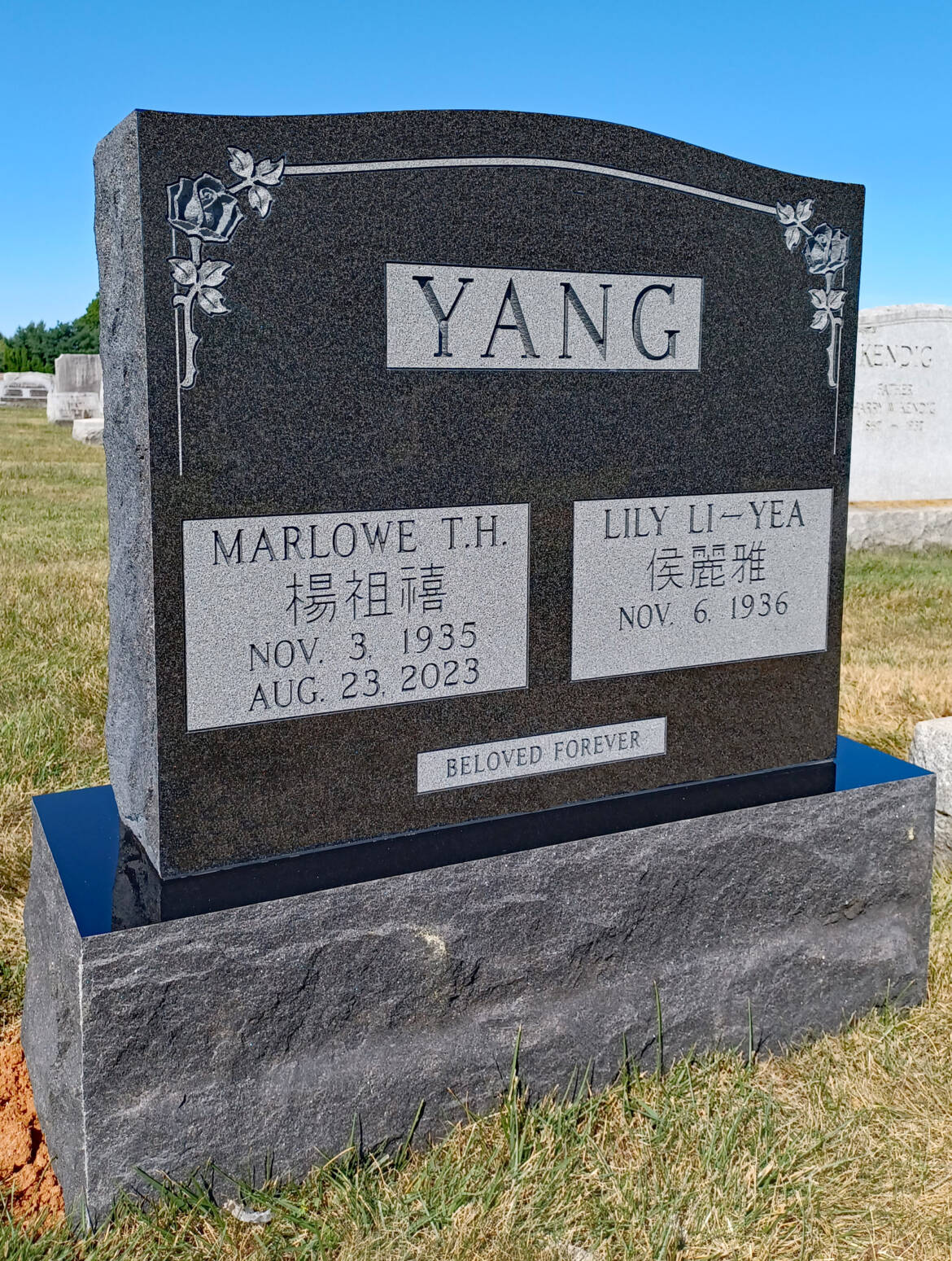 Yang-ML.jpg